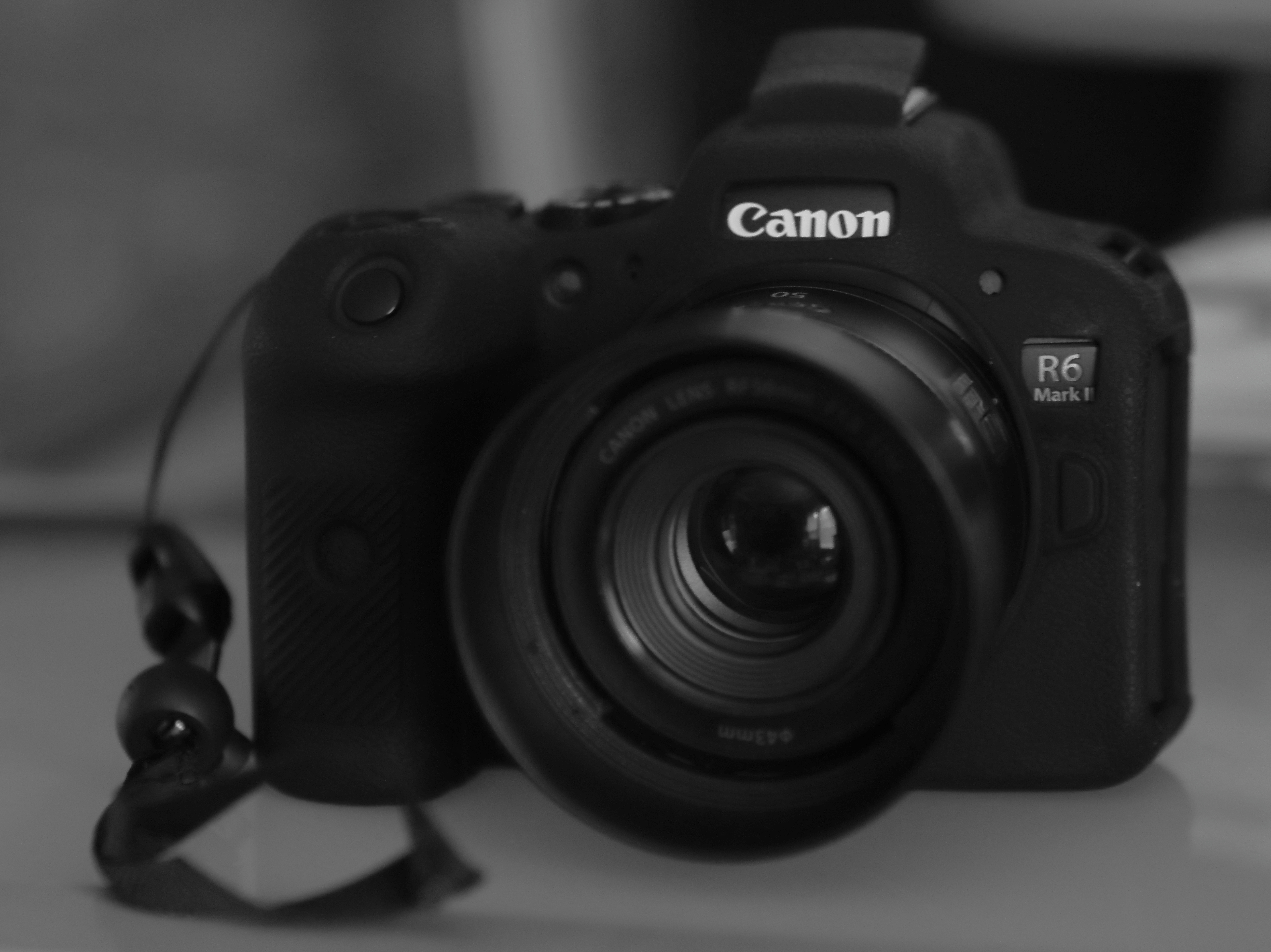 The Canon R62 my power house camera.